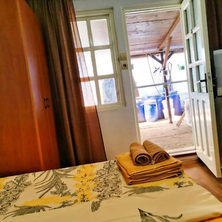 Casa Ioana Hotel คอสติเนช ภายนอก รูปภาพ